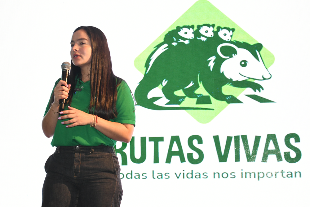 Rutas Vivas: una estrategia para proteger la vida humana y la fauna en las vías de Colombia